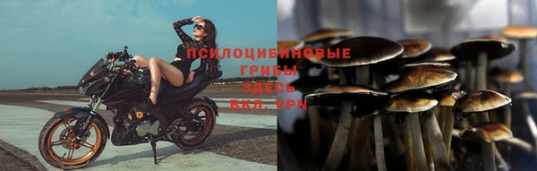 MDMA Premium VHQ Каменногорск