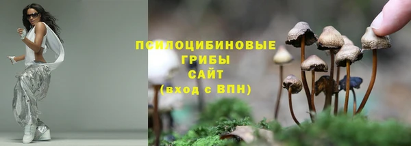 MDMA Premium VHQ Каменногорск