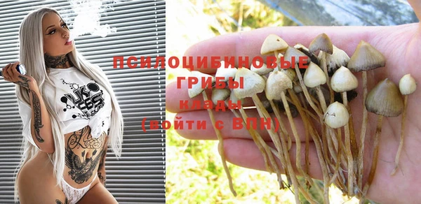 MDMA Premium VHQ Каменногорск