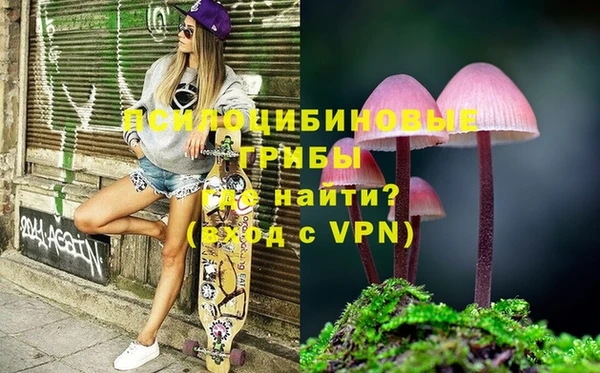 MDMA Premium VHQ Каменногорск